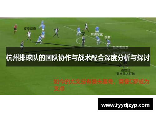 杭州排球队的团队协作与战术配合深度分析与探讨