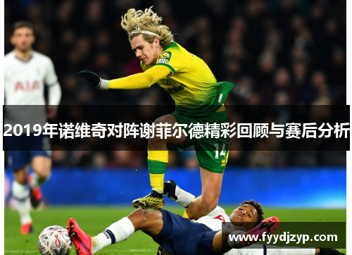 2019年诺维奇对阵谢菲尔德精彩回顾与赛后分析